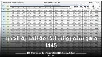 ماهو سلم رواتب الخدمة المدنية الجديد 1445