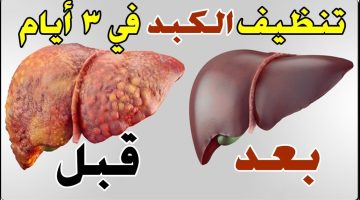 مشروب تنظيف الكبد