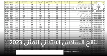 نتائج السادس الابتدائي المثنى 2023 عبر موقع وزارة التربية العراقية