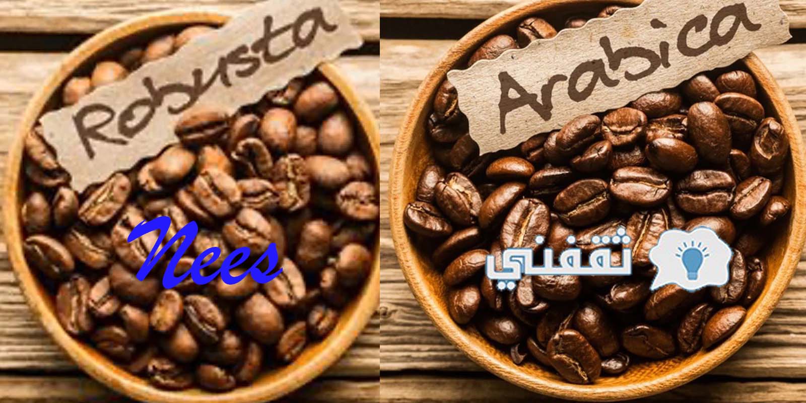كم ملعقة قهوة عربية لكل كوب؟