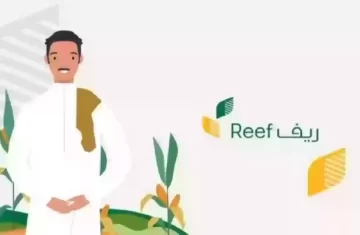 هل يؤثر دعم ريف على الضمان الاجتماعي المطور 1445 وموعد نزول الدفعة الجديدة؟