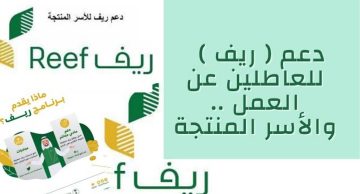 شروط التقديم في دعم ريف للعاطلين عن العمل 1445 بعد التحديث والمستندات والاوراق المطلوبة للحصول على مساعدات