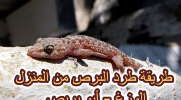 القضاء على البرص