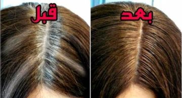 كيفية صبغ شيب الشعر بالأعشاب الطبيعية لتغطية مثالية