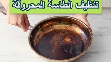 تنظيف الطاسه المحروقه بالمكون الجبار هيزيل سواد ودهون السنين بدون دعك وارجاعها كالجديد