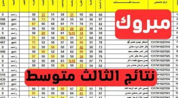 رابط نتائج الصف الثالث المتوسط بالعراق