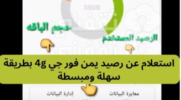 استعلام عن رصيد يمن فور جي 4g بطريقة سهلة ومبسطة