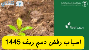 اسباب رفض دعم ريف وكيف اقدم على ريف بعد الرفض 1445 شروط الاستحقاق