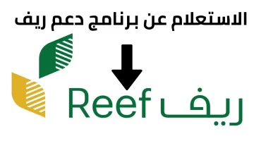 الاستعلام عن دعم ريف 1445 من خلال موقع الدعم الرسمي برقم الهوية reef.gov.sa