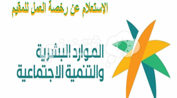 استعلام رصيد المدفوعات مكتب العمل ورخصة العمل وموظف وافد