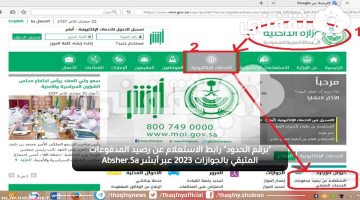 "برقم الحدود" رابط الاستعلام عن رصيد المدفوعات المتبقي بالجوازات 2023 عبر أبشر Absher.Sa