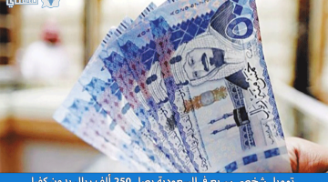 كيفية الحصول على تمويل شخصي سريع في السعودية من شركة تسهيل