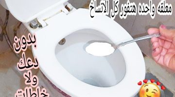 تنظيف قاعدة الحمام