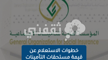 خطوات الاستعلام عن قيمة مستحقات التأمينات الاجتماعية في السعودية 1445