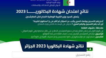 رابط استظهار نتائج شهادة البكالوريا 2023 في الجزائر