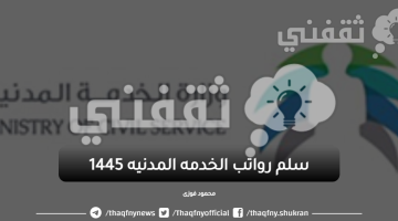 سلم رواتب الخدمة المدنية