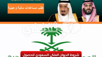 شروط الديوان الملكي السعودي للحصول علي المساعدات