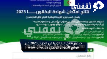 صدور نتائج البكالوريا في الجزائر 2023 عبر موقع الديوان الوطني www.onec.dz