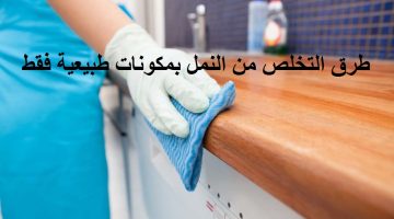 طرق التخلص من النمل