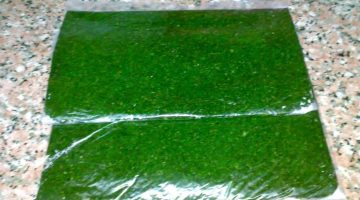 طريقة تخزين الملوخية الخضراء في الفريزر وطريقة تجفيفها لاستخدامها طوال السنة