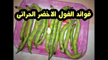 فوائد الفول الحراتي