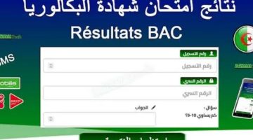 استخراج نتائج البكالوريا 2023 الجزائر بالخطوات بأسرع الطرق
