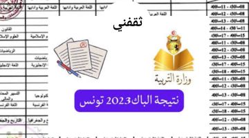 نتائج البكالوريا 2023 تونس عبر الإنترنت بالخطوات الآن بعد الظهور رسميا