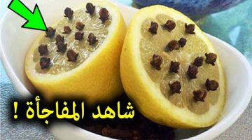 نبات القرنفل