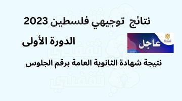 بعد سويعات من الآن.. اعلان نتائج توجيهي فلسطين 2023 الثانوية العامة الدورة الأولى برقم الجلوس