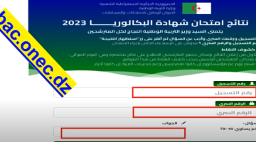 نتائج شهادة البكالوريا 2023