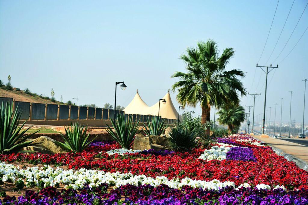 السياحة في بريدة