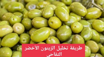 طريقة تخليل الزيتون الأخضر التفاحي