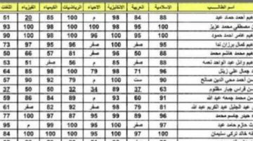 تعرف على موقع نتائج السادس الإعدادي 2023 م وكيفية الاستعلام