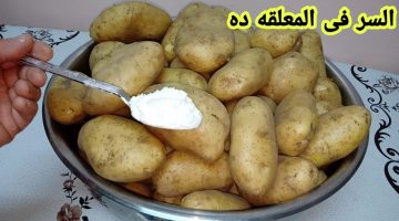 تخزين البطاطس من السنة للسنة