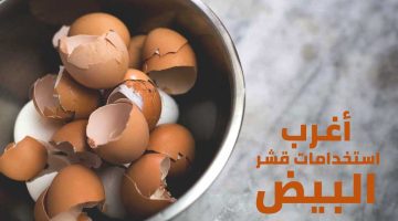 استخدامات غير شائعة لقشور البيض
