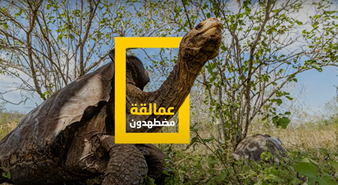 البرامج التي تقدمها قناة ناشيونال جغرافيك