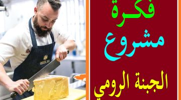 مشروع تصنيع الجبنة الرومي