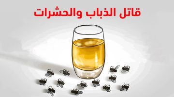 وصفة الملح للحشرات