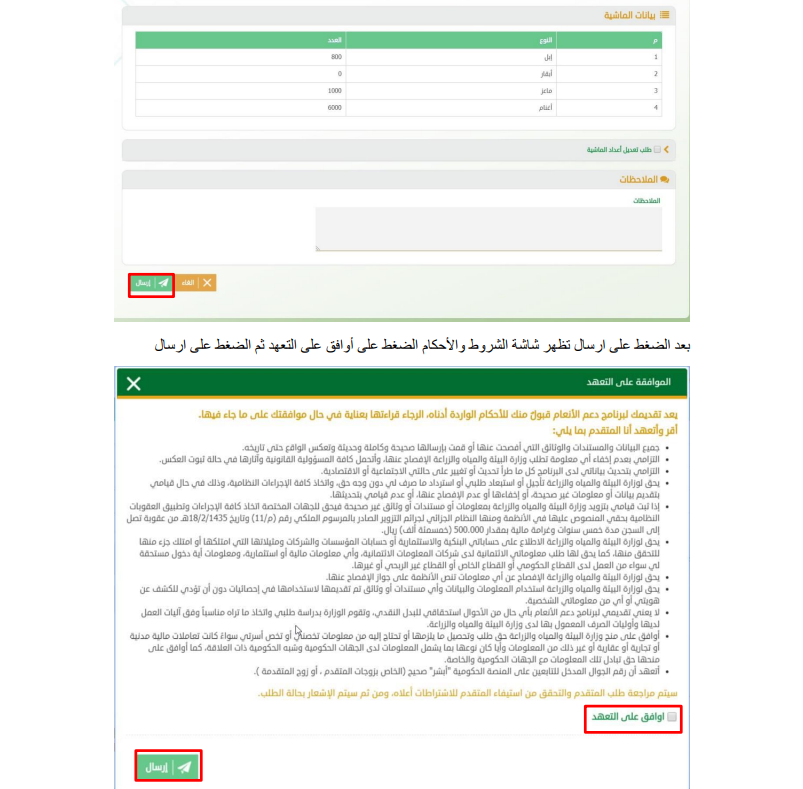 شروط دعم مربي المواشي للنساء