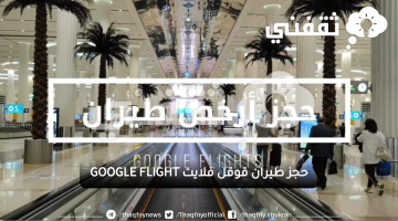 حجز طيران قوقل فلايت GOOGLE FLIGHT