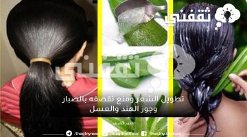 خلطة الصبار وجوز الهند والعسل لتطويل الشعر ومنع تقصفه