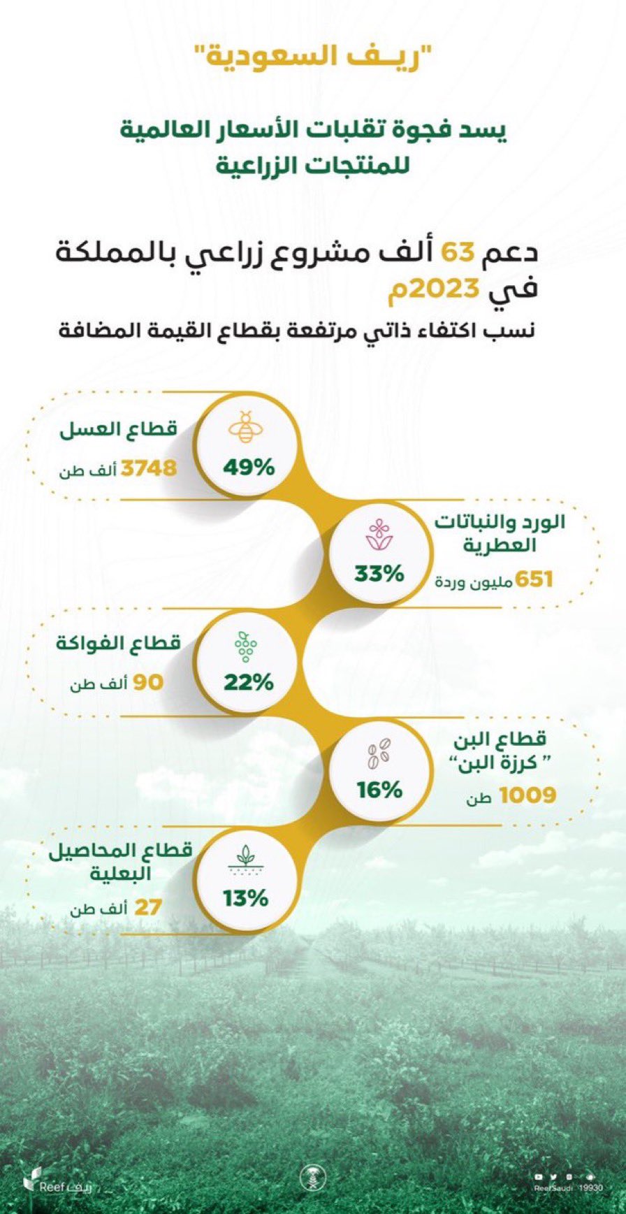 دعم ريف