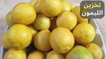 طريقة تخزين الليمون الصحيحة في الفريزر