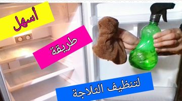 طريقة تنظيف الثلاجة