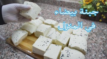 طريقة عمل الجبنة البيضاء في المنزل