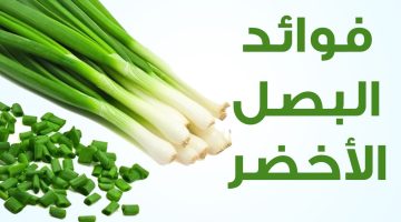 فوائد البصل الأخضر