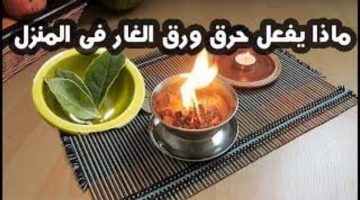 فوائد حرق ورق الغار