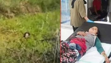 بالفيديو سيدة تنجو من هجوم تمساح بعد مقاومتها 90 دقيقة