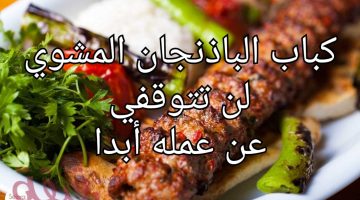 كباب الباذنجان