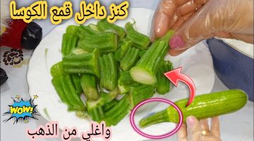 كيراتين طبيعي للشعر بالكوسا